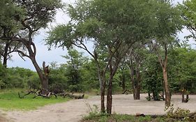 Acacia Camp